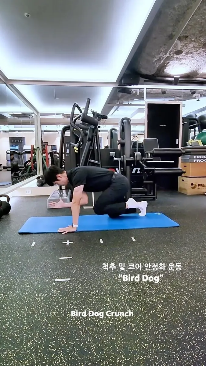 공병남 트레이너 · 버드독 코어 운동을 시연하는 모습